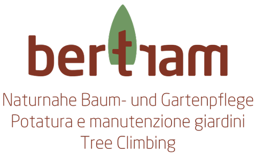 Bertram Logo